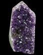 Amethyst Cut Base Cluster - Uruguay #83546-1